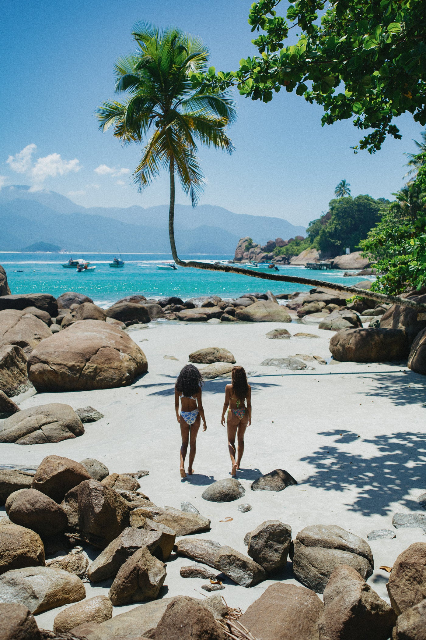 Melody Bottom (Meadow)